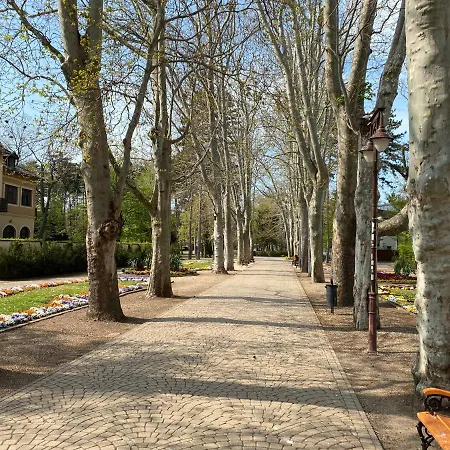 Gosztonyi * Siófok