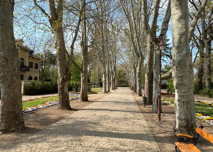 Gosztonyi * 시오포크